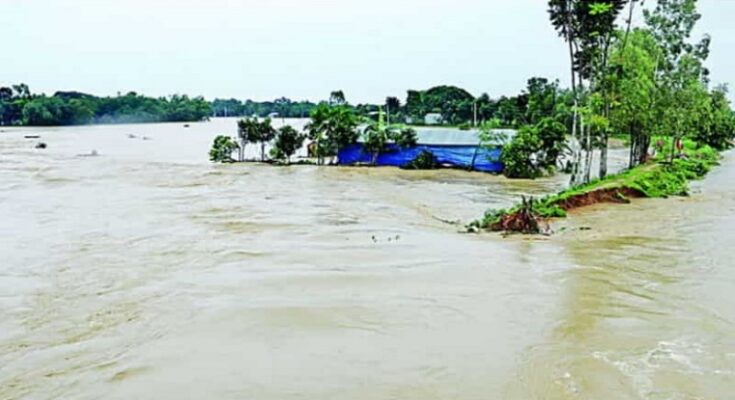 চিরকুট লিখে মায়ের লাশ ভাসিয়ে দিলেন ভেলায়